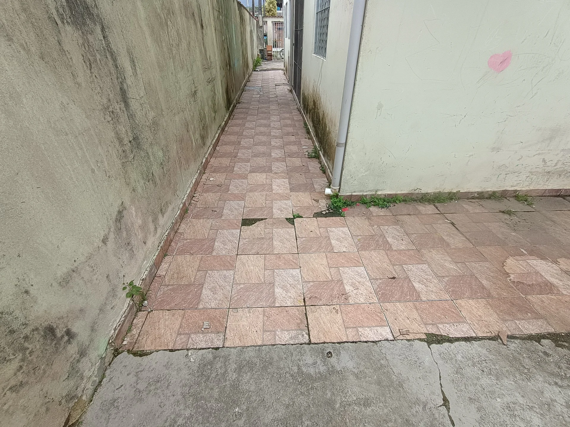 1000754322.jpg