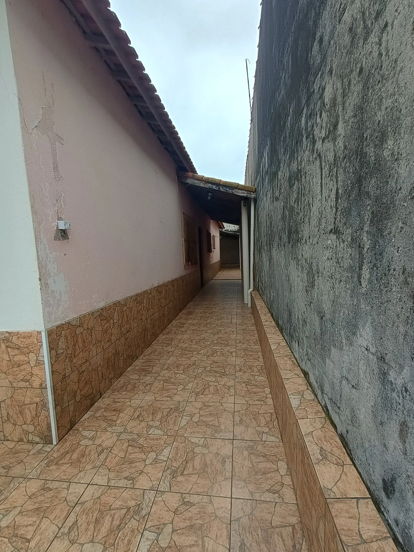 1000749278.jpg