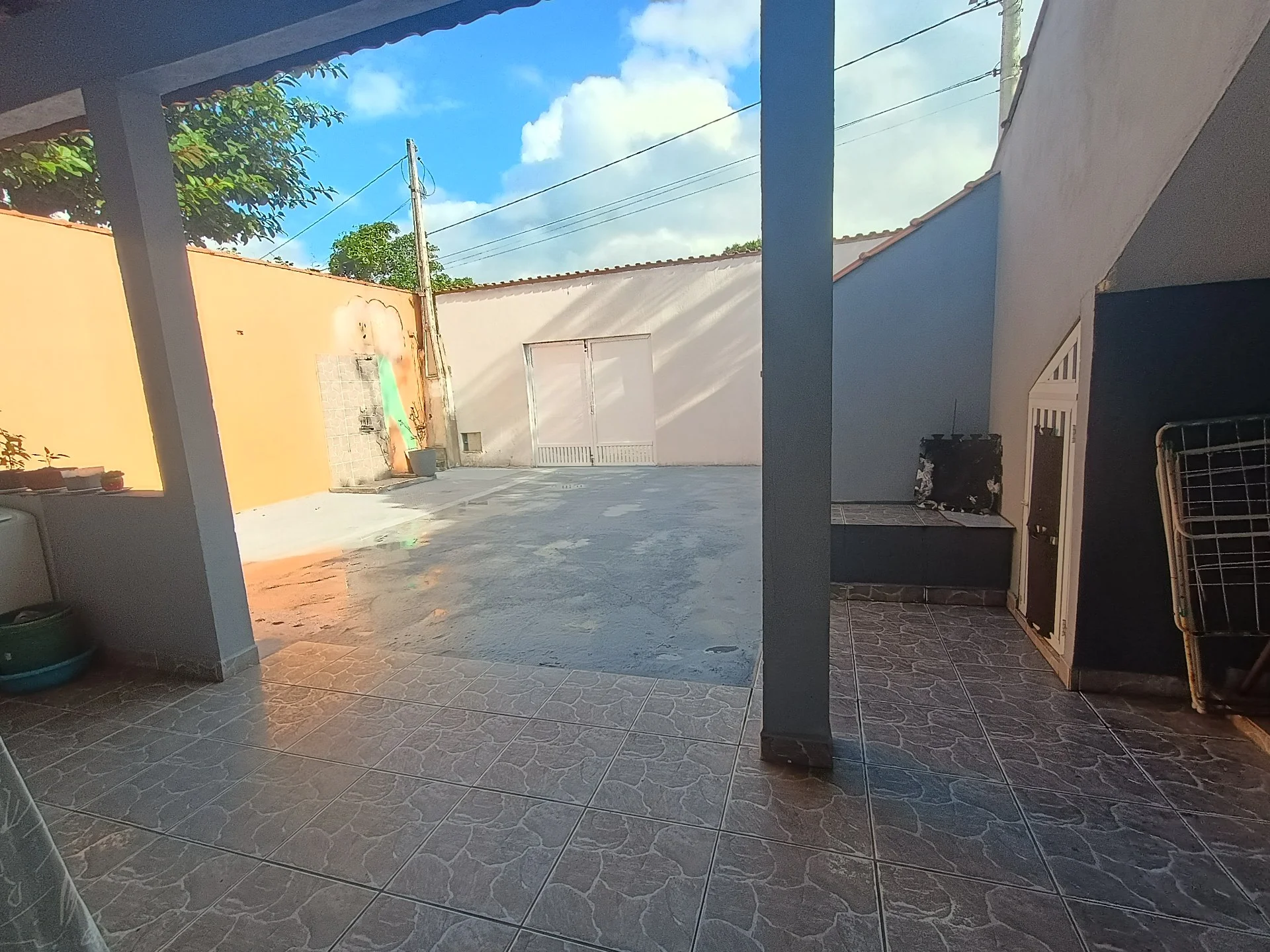 1000702446.jpg