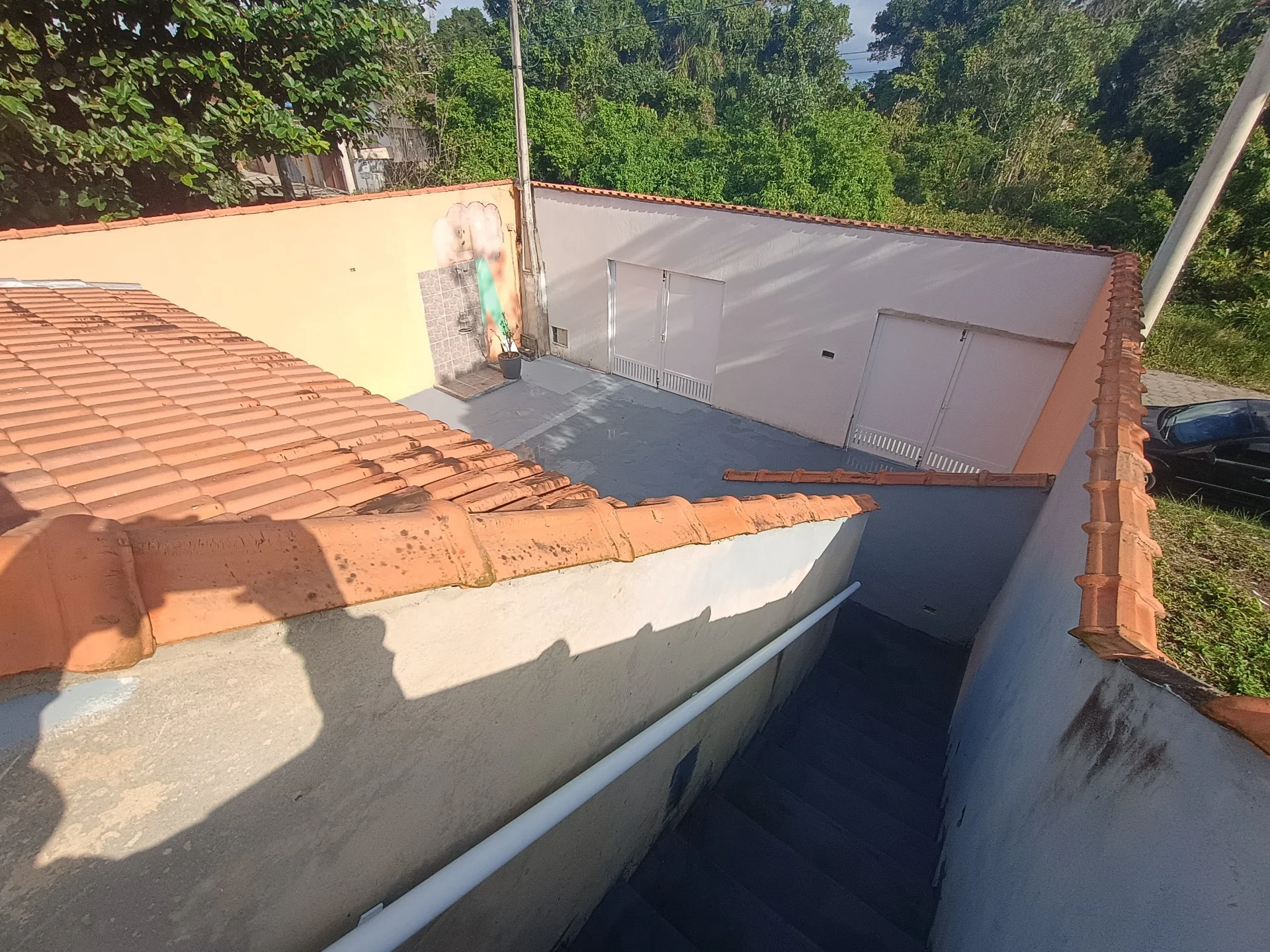 1000702449.jpg