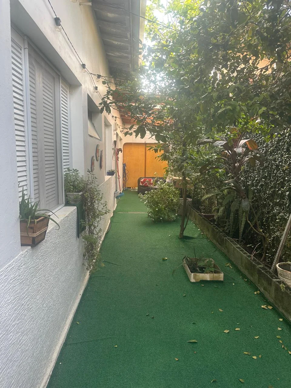 1000369193.jpg