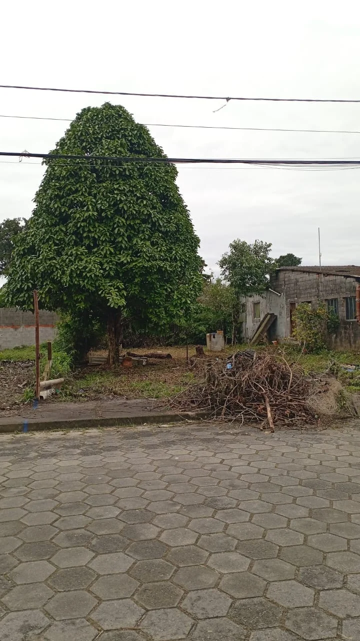 Terreno no bairro Nova Itanhaém (Interior)