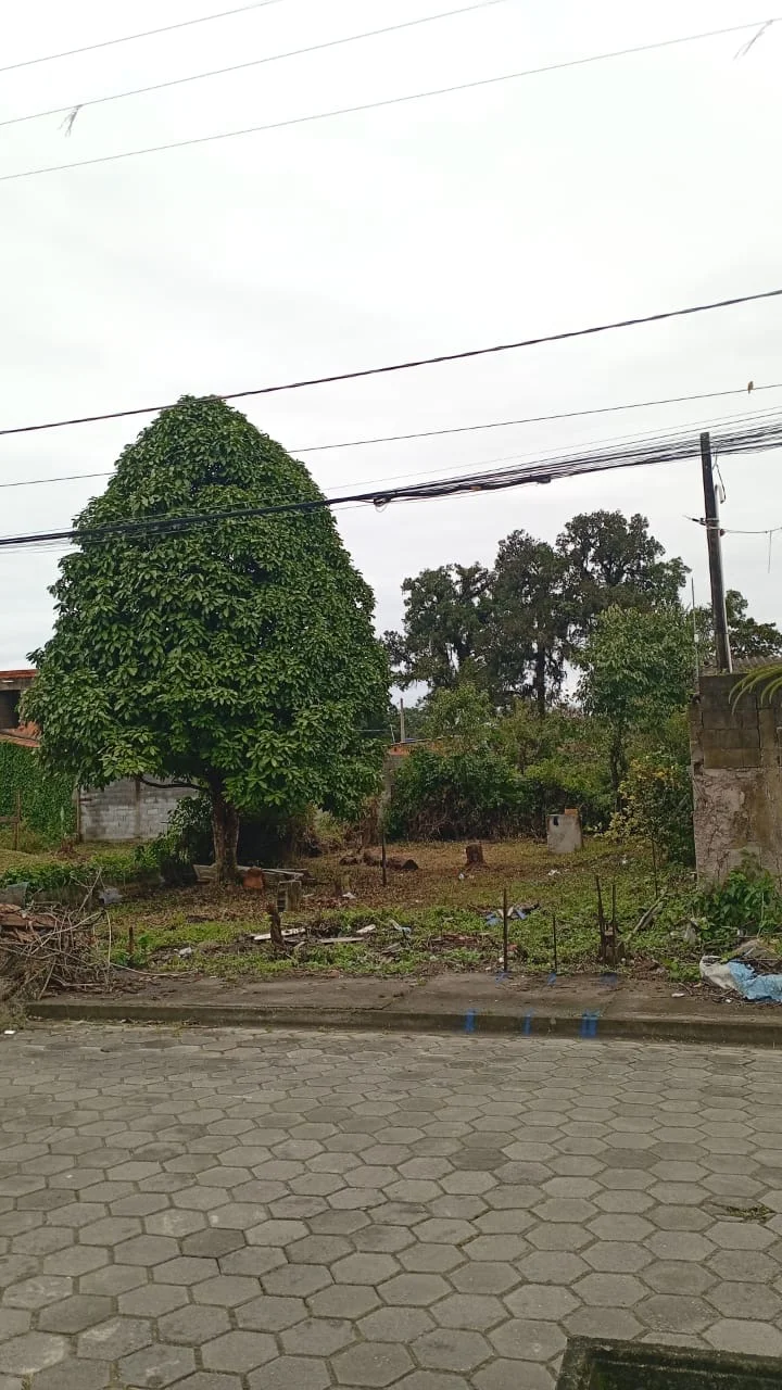 Ambiente
