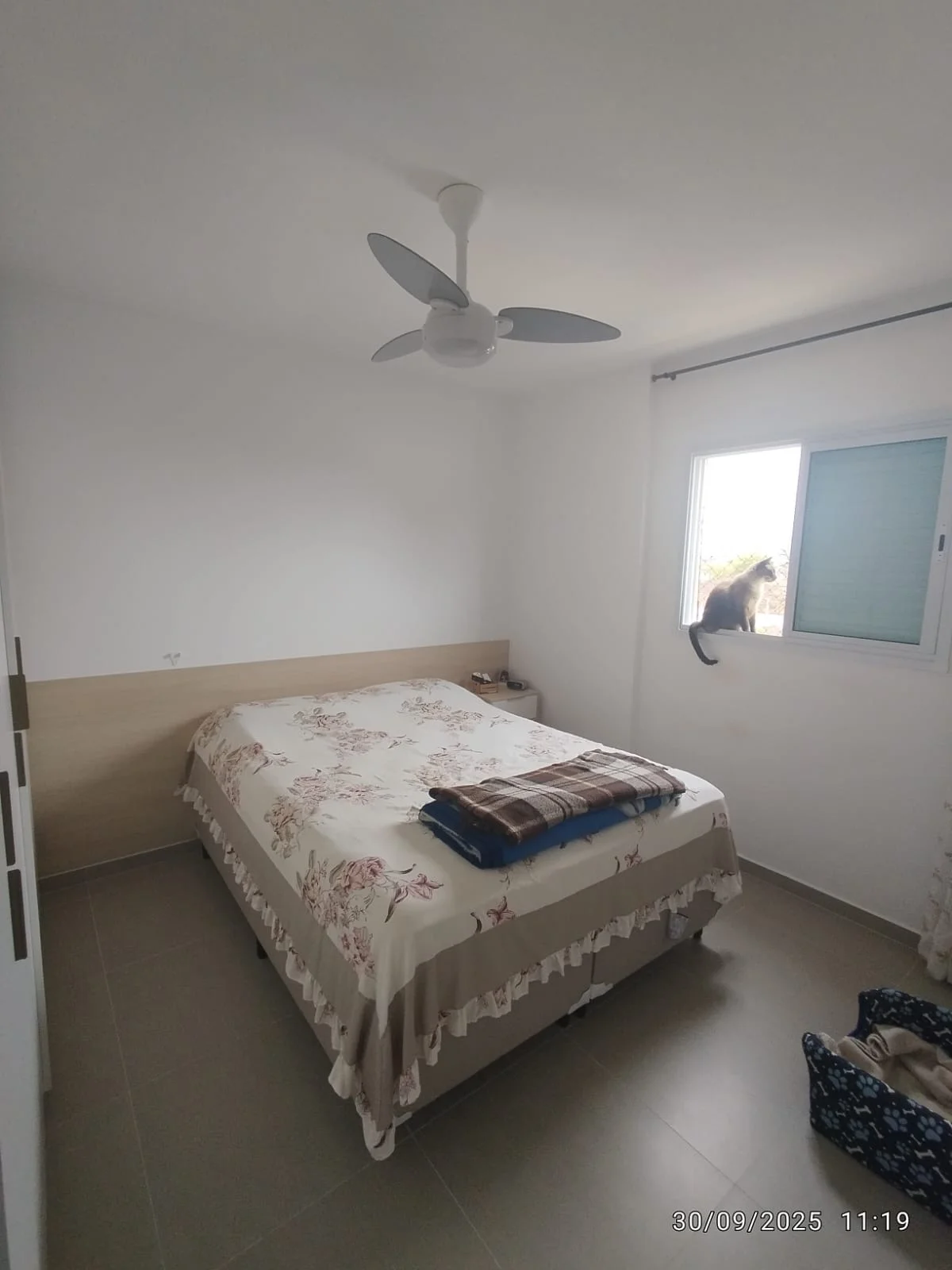 c59f0273-353e-4186-b81f-0537900955aa.jpeg